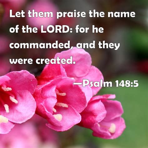 psalm 148 esv|Praise the Name of the Lord .